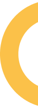 Ellipse 7